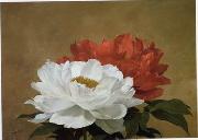 unknow artist Still life floral, all kinds of reality flowers oil painting 34 Germany oil painting artist